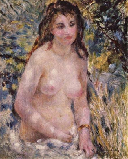 Pierre-Auguste Renoir Nude In The Sun, Sweden oil painting art